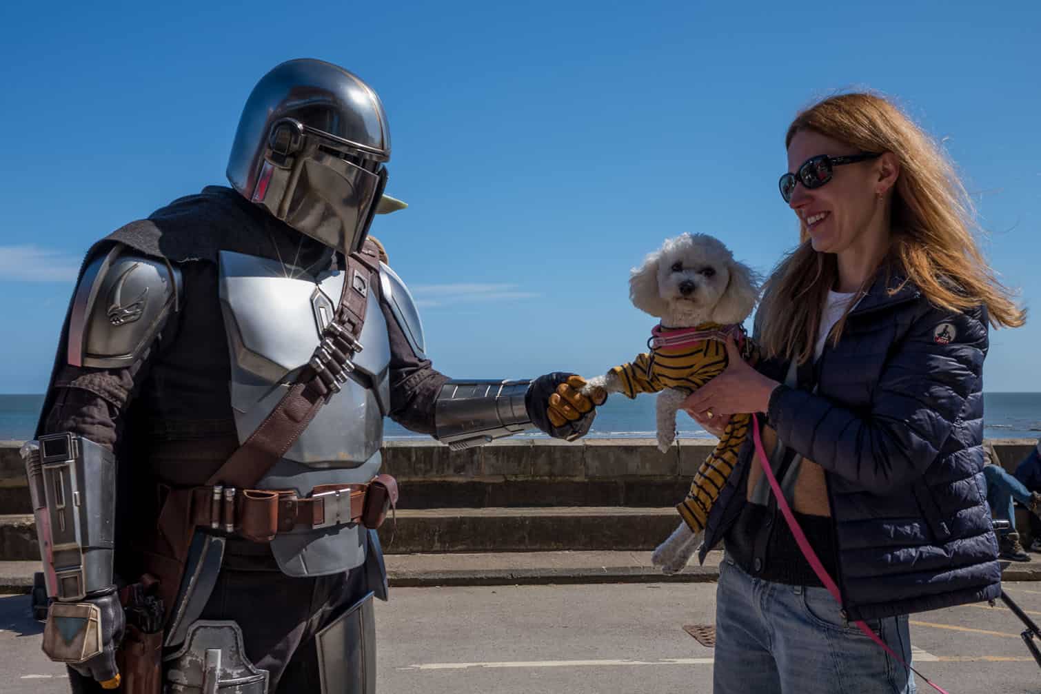 Fans Attend Scarborough Science Fiction Weekend 2026