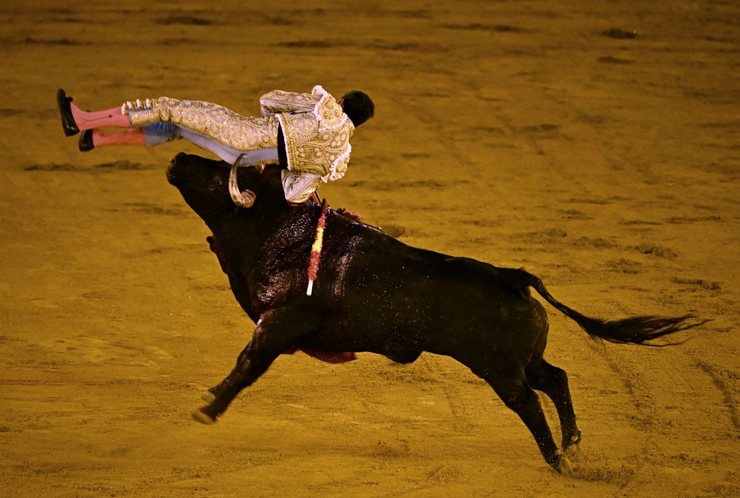 Spanish bullfighter David de Miranda