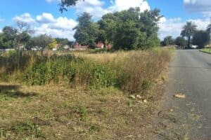 Overgrown grass in Strubenvale was tackled by the team of volunteers.