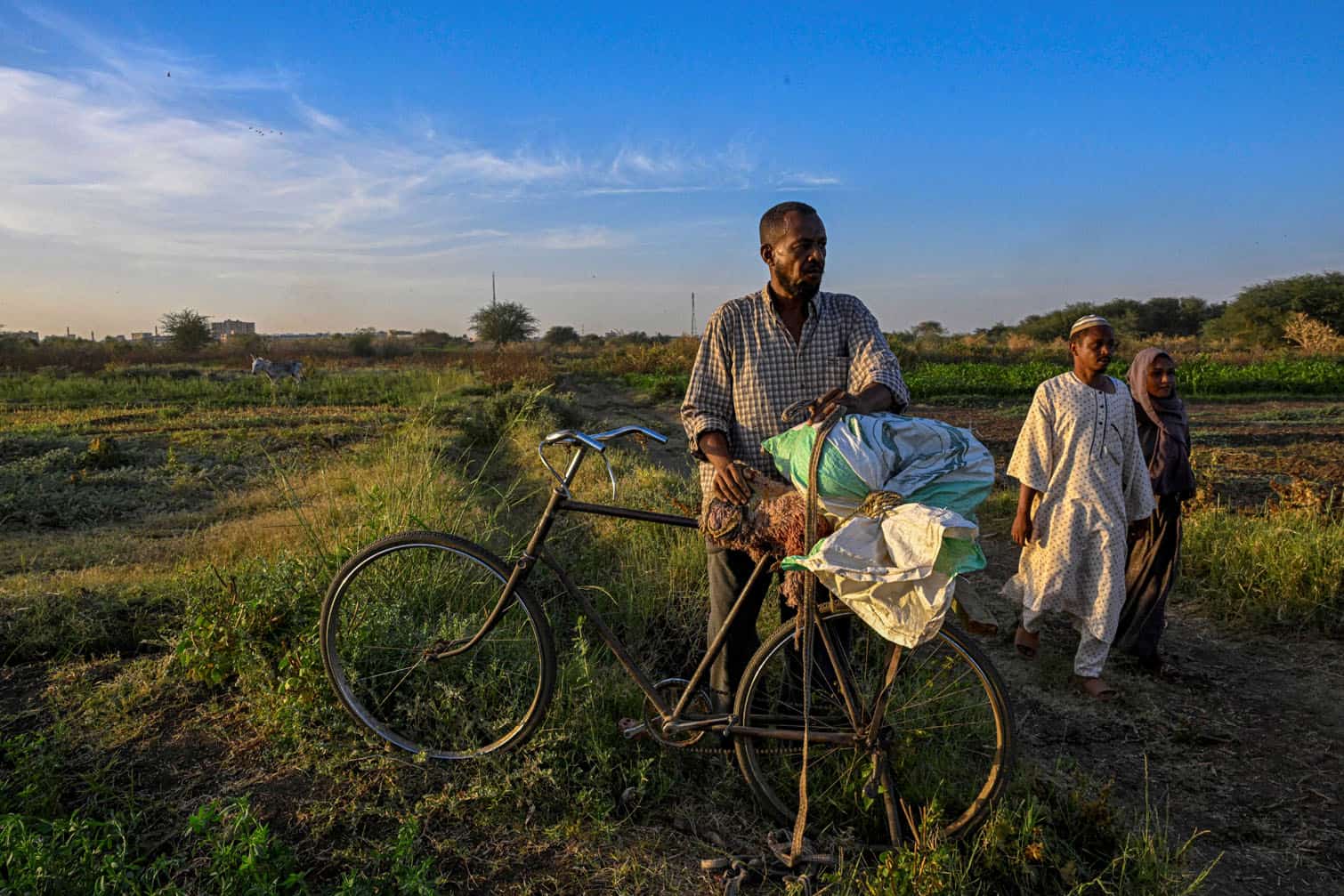 A Sudanese farmer collects some crops