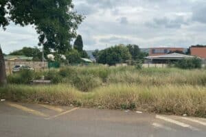 An overgrown vacant property in Pretoria North at the corner of Stasie and Eufees Streets, contributes to rodent infestations and ongoing environmental health concerns.