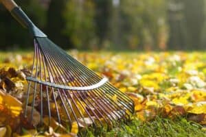 Autumn turns neighbours into leaf warriors