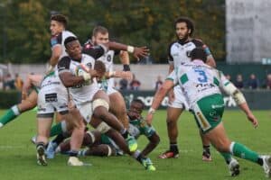 Benetton Sharks