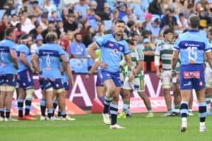 Bulls rugby players