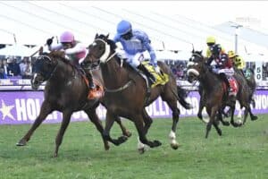 Durban July racing
