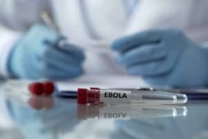 Ebola spreads fast as WHO sounds global alarm