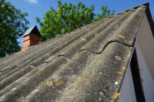 Gauteng RDP homes still have dangerous asbestos roofs after 30 years