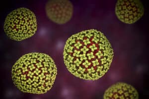 Hantavirus not as contagious as Covid, says medical experts