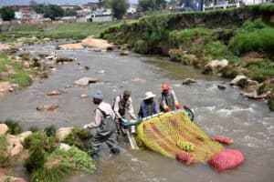 Johannesburg launches task teams for river pollution.