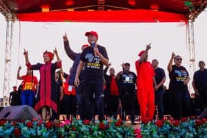 Malema uses Workers' Day to address struggle with courts