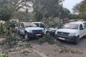 Trail of destruction: Strong gusts batter KZN Midlands