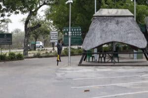 Kruger Park tourists found dead Pafuri