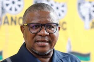 Mbalula-March and March-Borders-Illegal immigrants