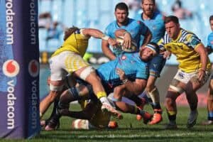 Bulls Zebre
