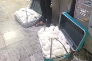 Dutch drug mule arrested at OR Tambo with 40kg of khat worth R240k