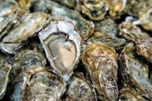 DFFE warns against eating wild shellfish on West Coast