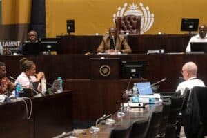 Mkhwanazi ad hoc committee