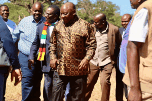 The darker side of Ramaphosa's Zim backing
