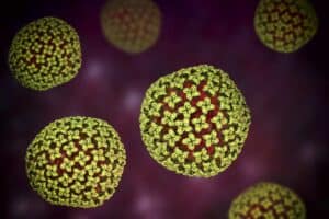 SA tracks 97 possible hantavirus contacts as patient recovers
