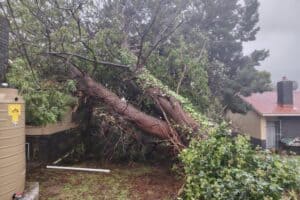 SA battered by eye of storm with record rain and damage