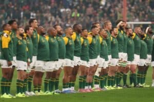 Springboks rugby players