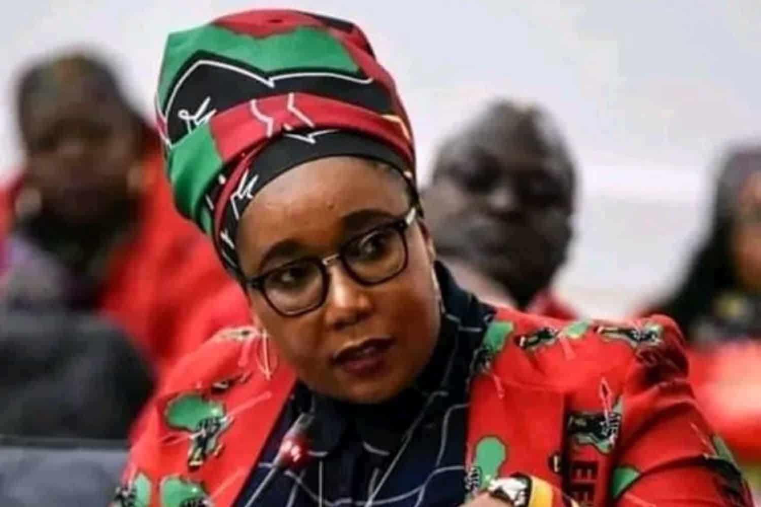 EFF threatens Didiza with legal action over Phala Phala court process
