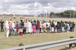 48 undocumented Zimbabwean nationals intercepted in Limpopo