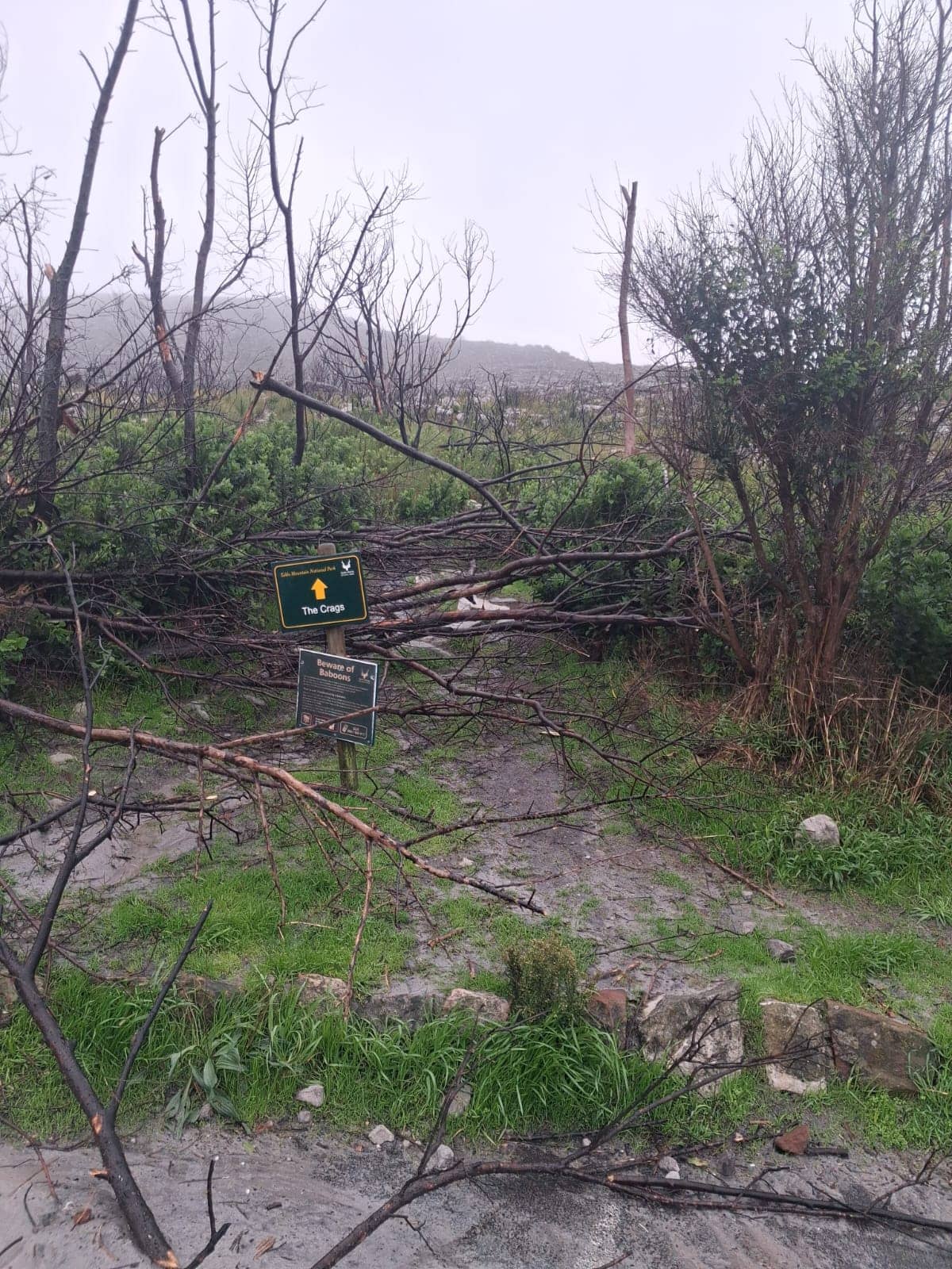 Table mountain trail