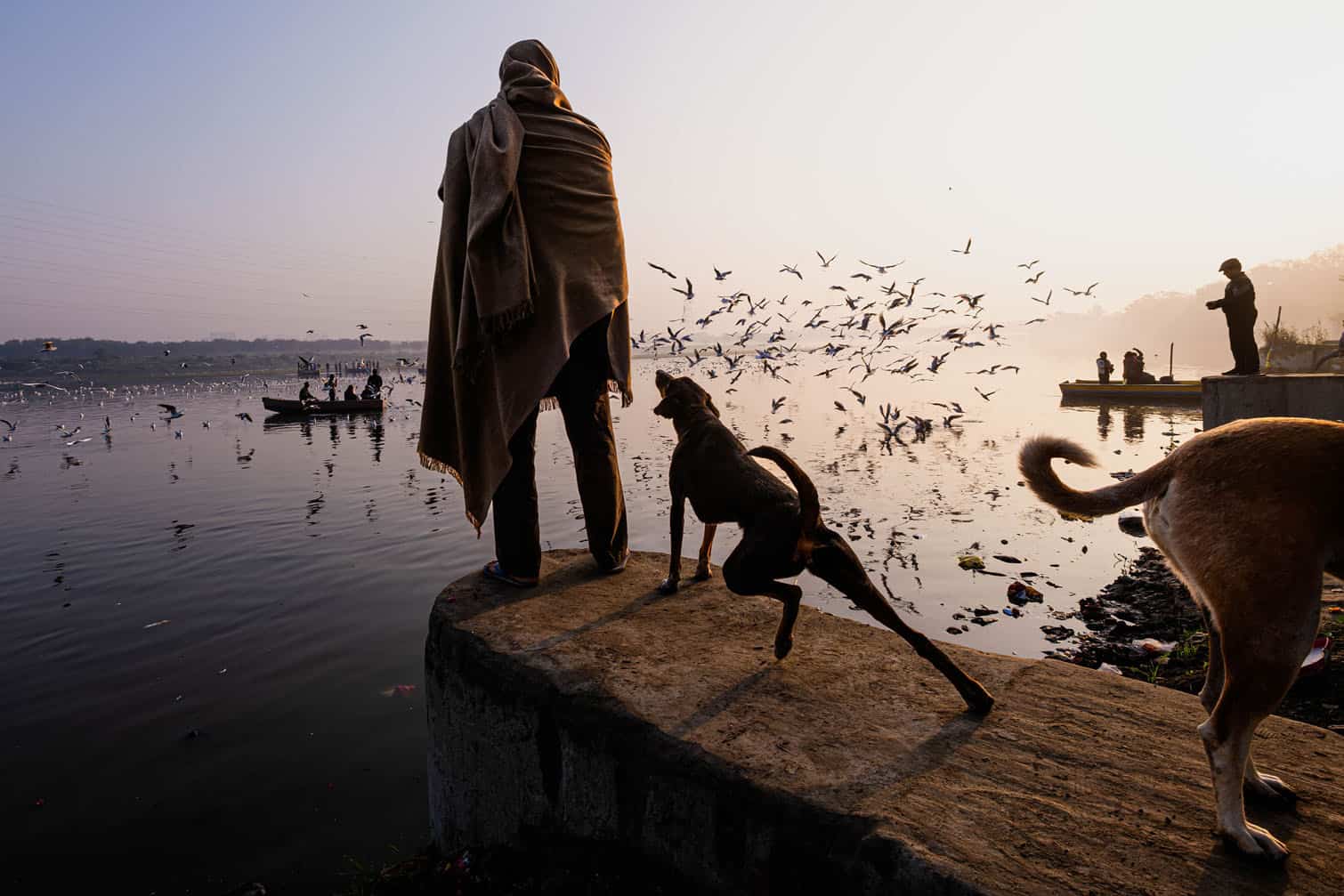 All About Photo Awards winners