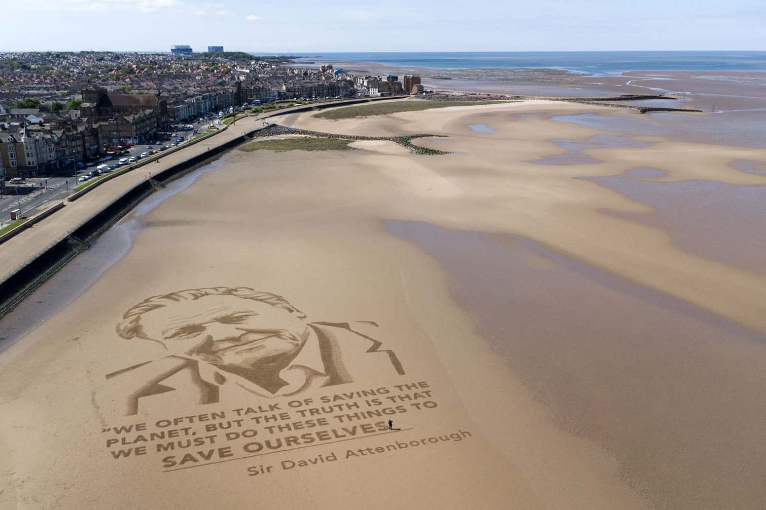 a sand drawing of David Attenborough