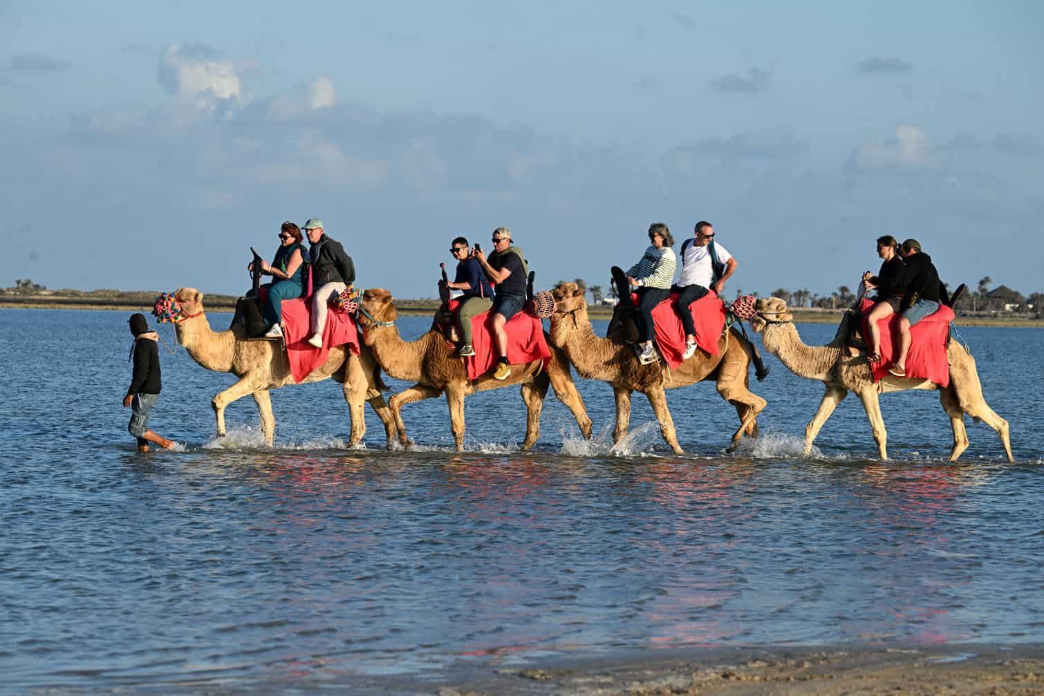 French tourists ride on camels