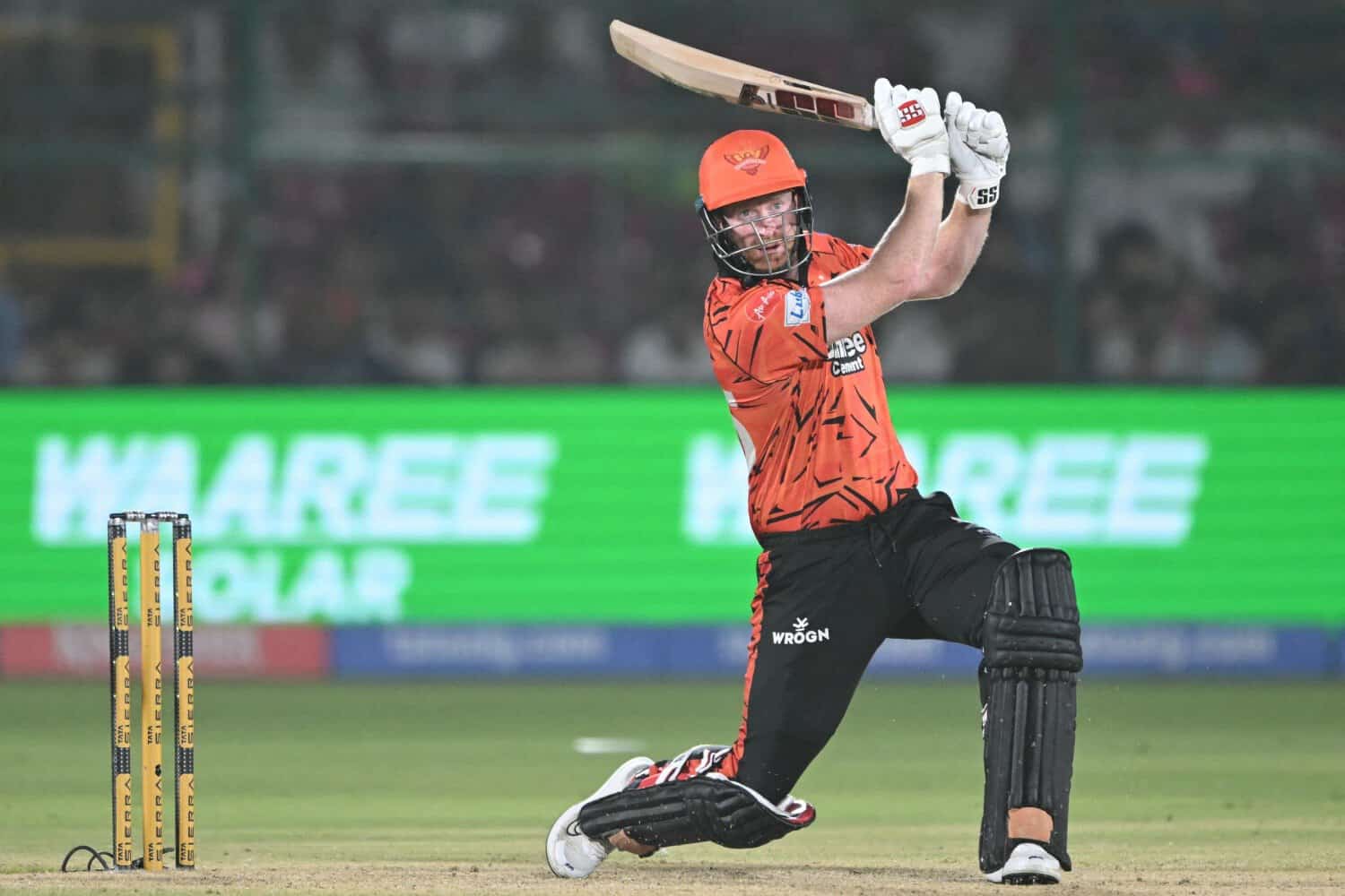 cricket-1.jpg