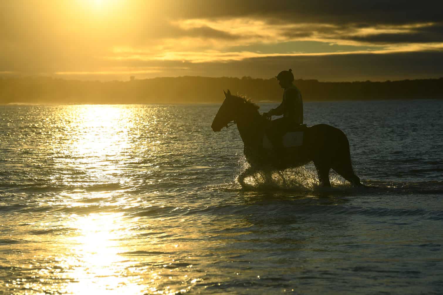Warrnambool Race Carnival Trackwork