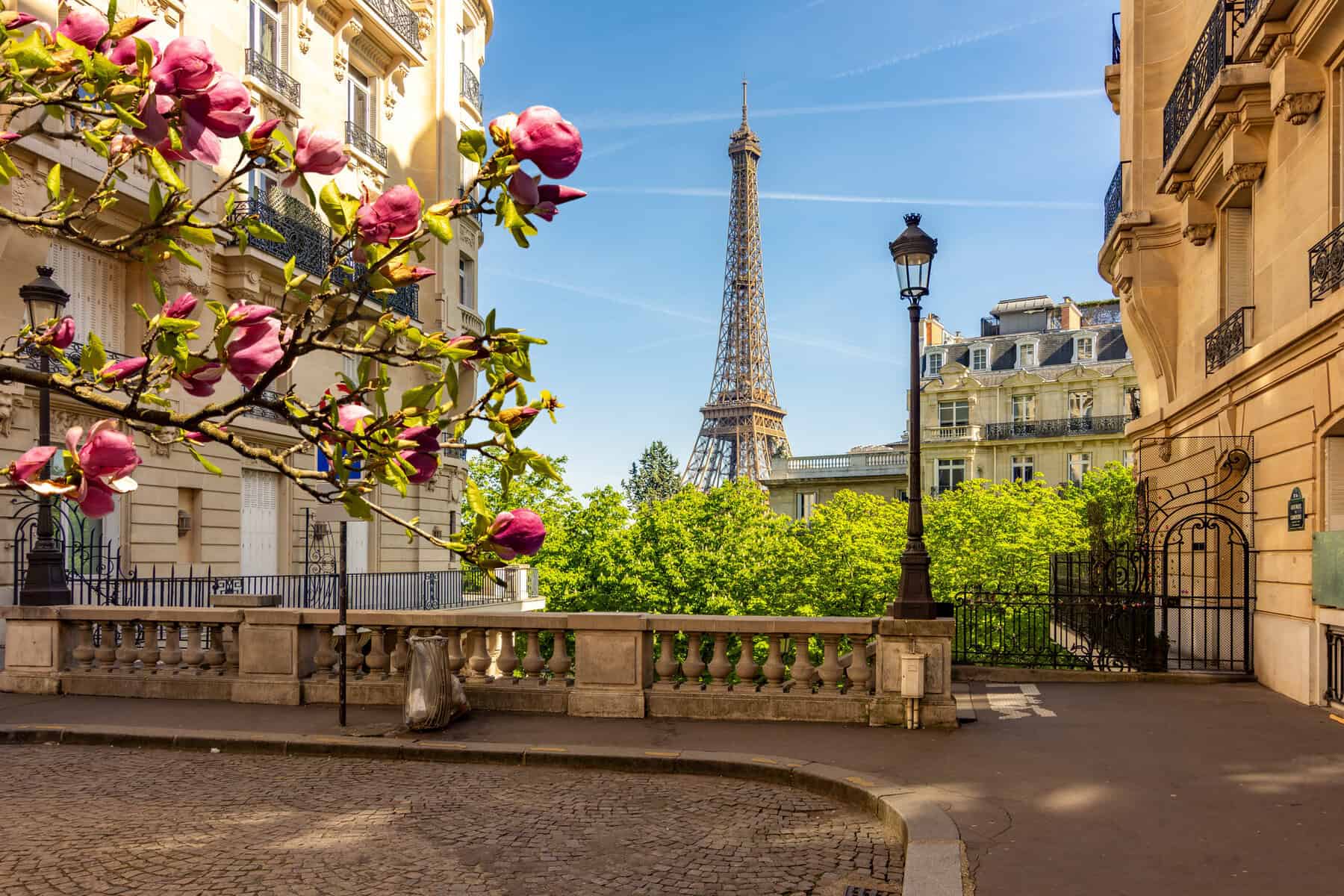 Picture Istock