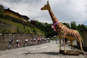 A giraffe statue