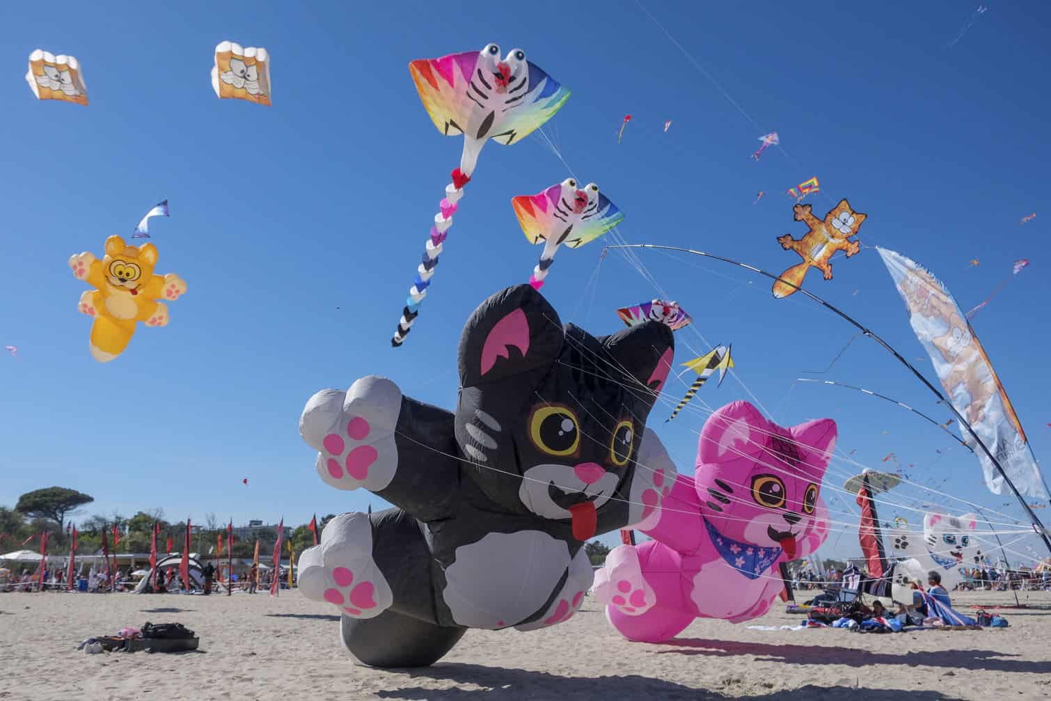46th Edition Of The Artevento Cervia International Kite Festival