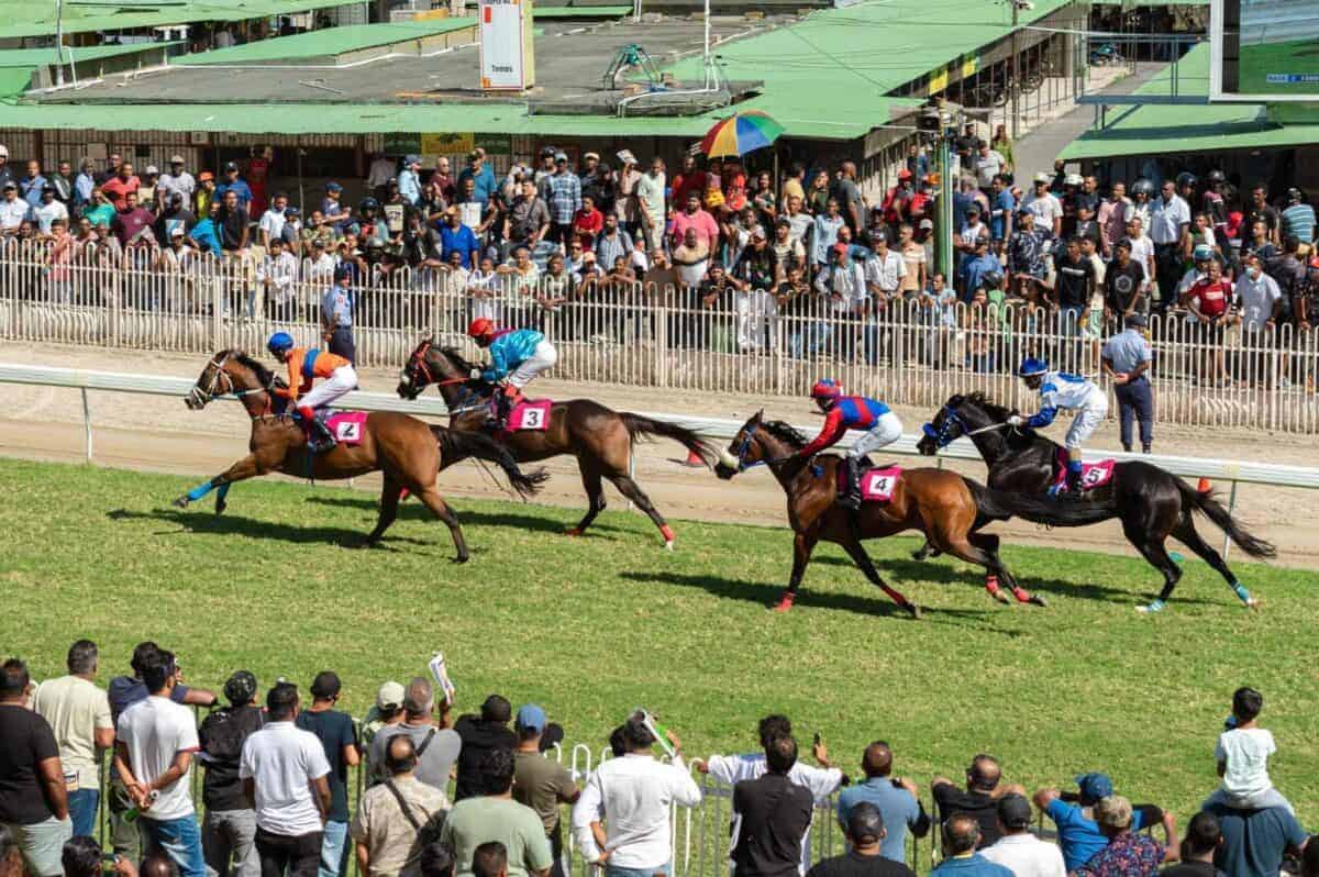 Why Mauritius is secretly Africa's most exciting horse-racing ...