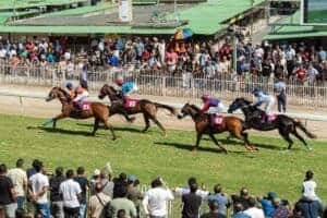 Why Mauritius Is Secretly Africa’s Most Exciting Horse Racing Destination Right Now