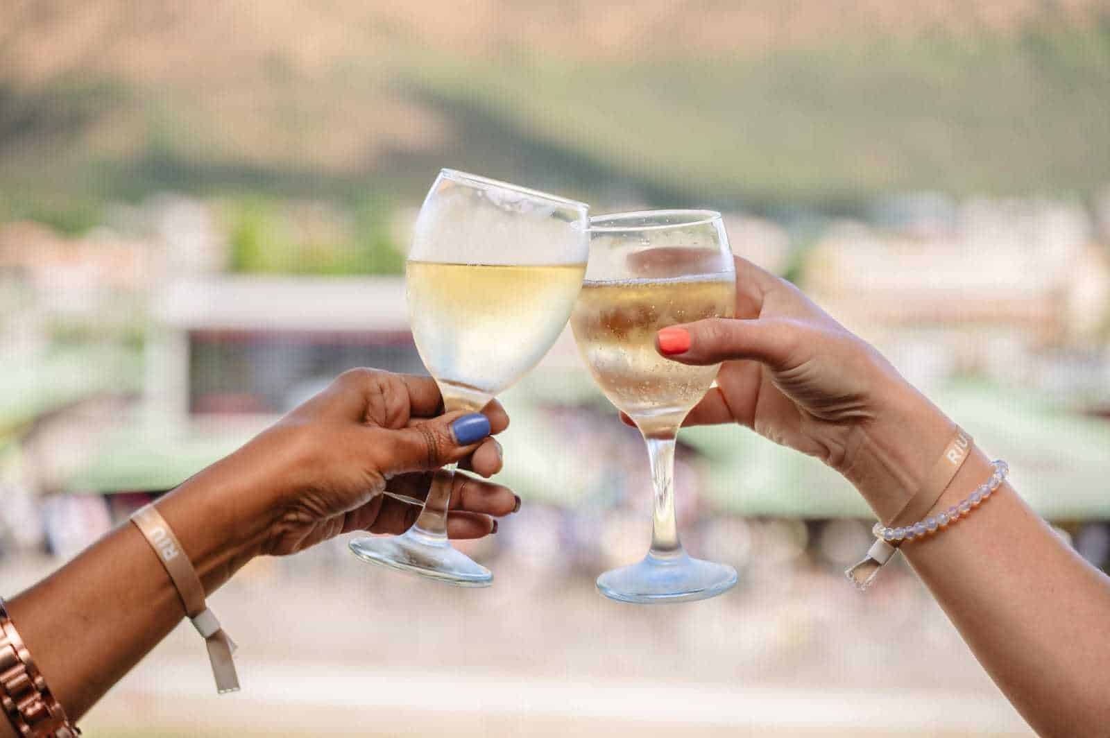 Why Mauritius Is Secretly Africa's Most Exciting Horse Racing Destination Right Now