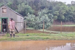 severe weather conditions, rain fall, south african weather services, the Western Cape, national disaster