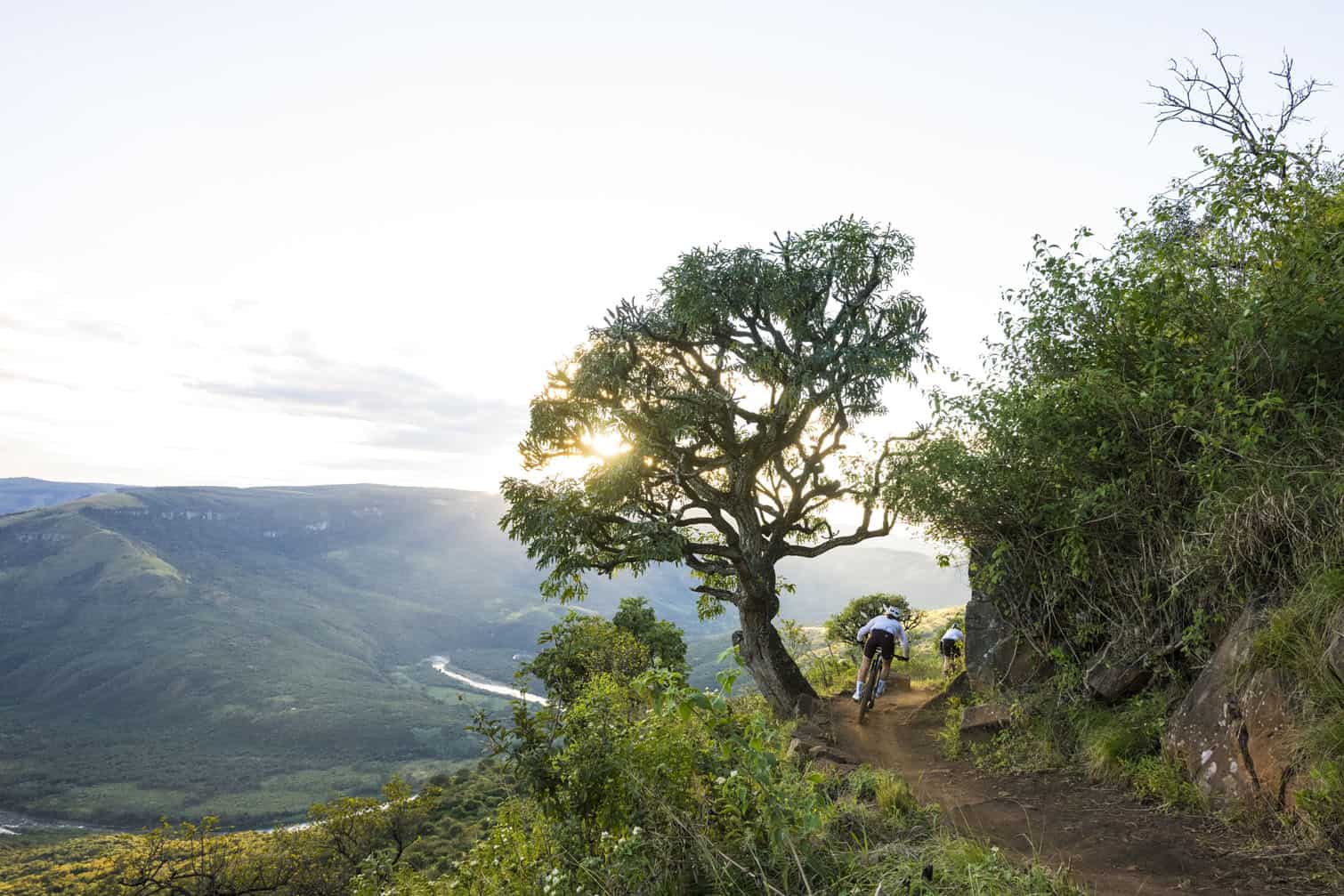 KAP sani2c