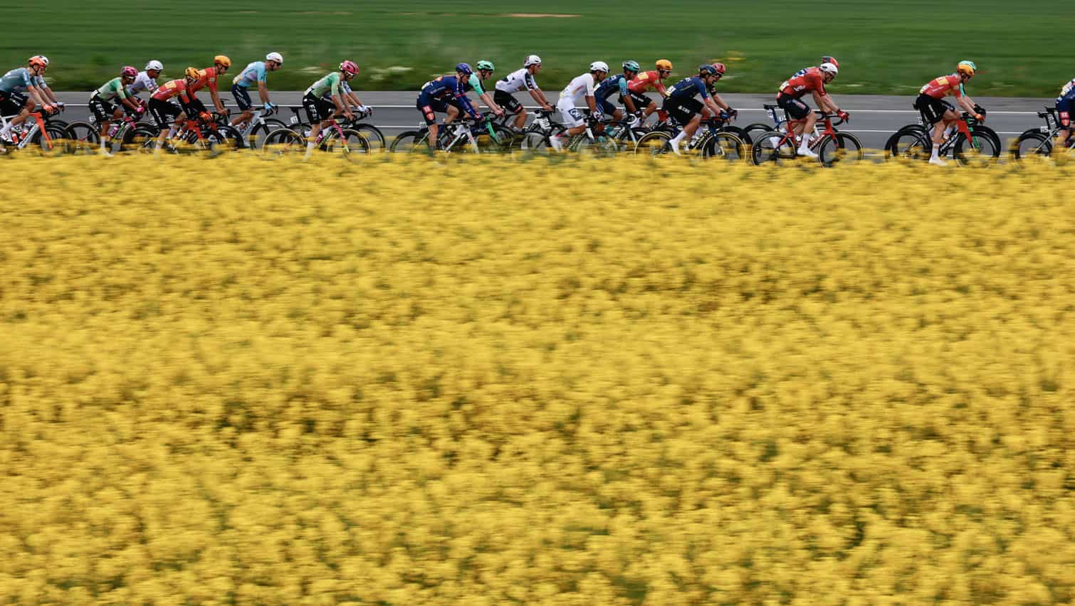 Cycling: 2026 World Tour, Giro d'Italia