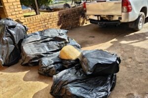 crime, cannabis, dagga, weed, Mitchell's Plain, Limpopo, Saps, Police Members, arrests, unlicensed firearms