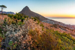 lion's head climber rescue dislocated shoulder