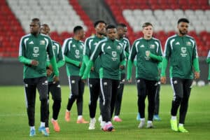 World Cups are decided by fine margins and Bafana can’t afford wastefulness in front of goal.
