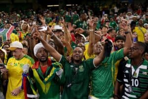 Bafana-Bafana-fans