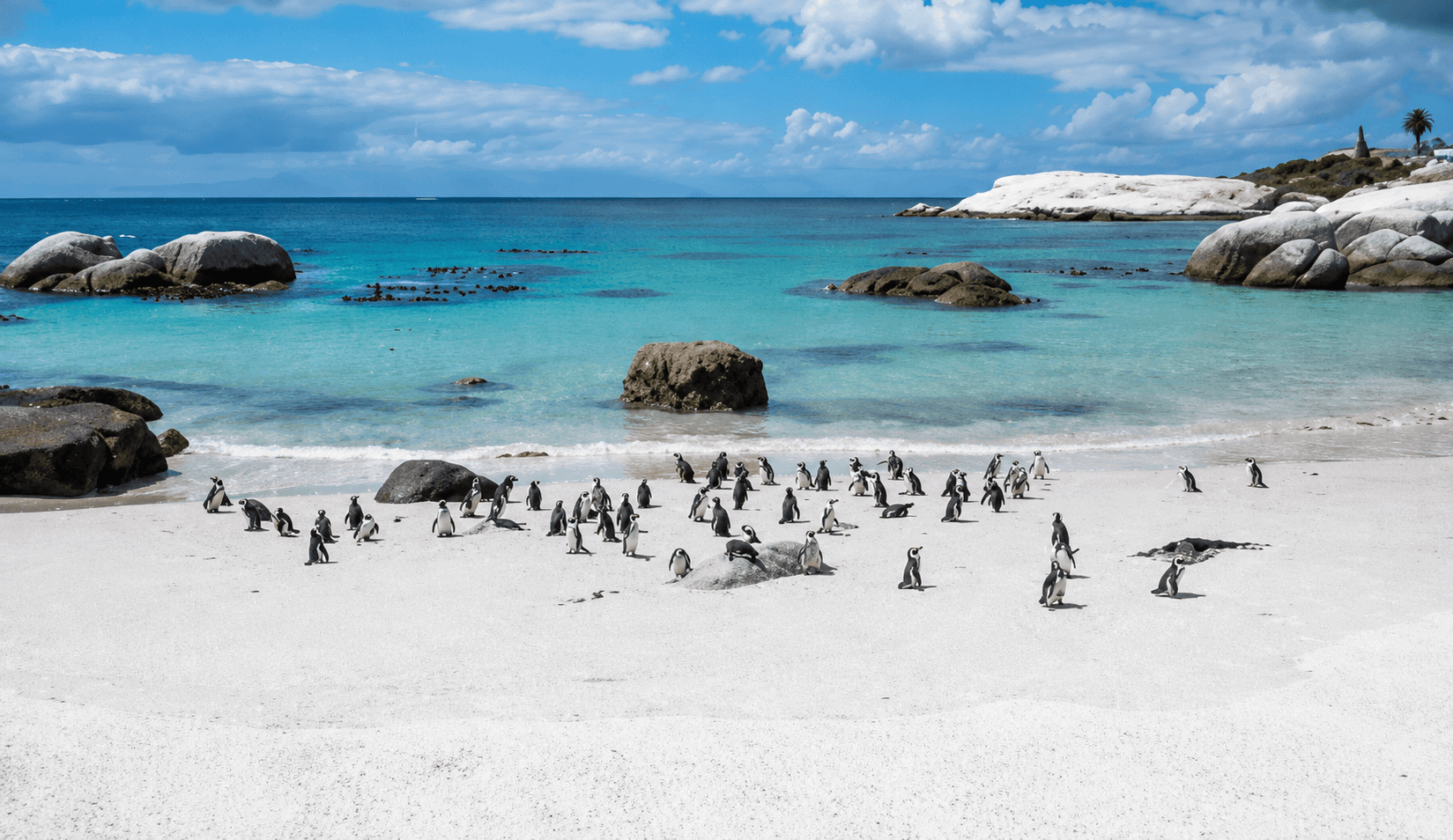 Four captivating South African beaches crowned among the world's best this World Oceans Day