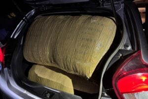 Dagga bust nets R3m haul, six arrested in intelligence‑driven strike