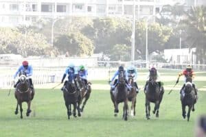 Durban July betting