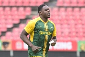 Emmanuel Tshituka Springbok dream